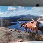 L’Économie Et La Production Du Rwanda Ancien