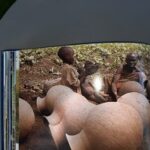 Culture et société