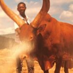 Culture et société