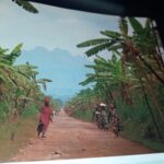 Culture et société