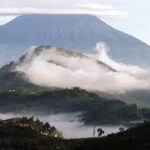 Culture et société