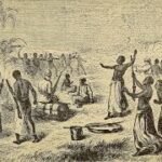 Les Débuts Des Ecoles Spéciales